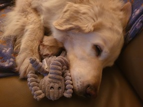 20201205_200026.JPG